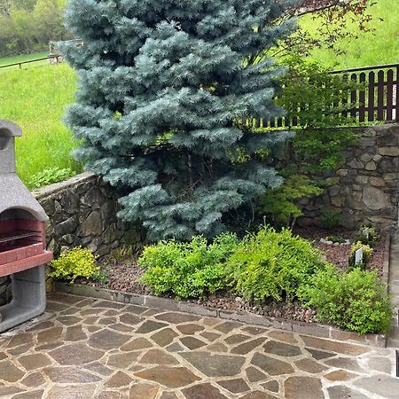 Villetta Sulle Dolomiti Pracorno di Rabbi Zewnętrze zdjęcie